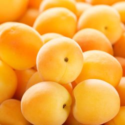 apricots